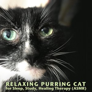 Nova Cat Purring Sounds 的头像