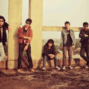 Royal Volume 的头像