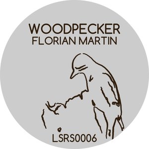 Woodpecker