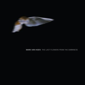 The Last Flowers From The Darkness