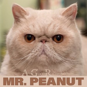 Mr. Peanut - Single