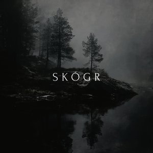 Avatar for Skógr