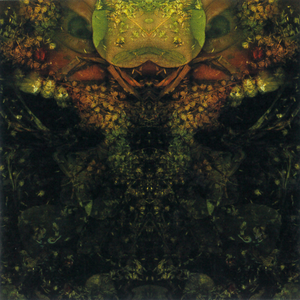 https://lastfm.freetls.fastly.net/i/u/300x300/9e07b654131382118c26e09bd8e2c795.png