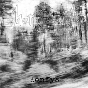Konfys