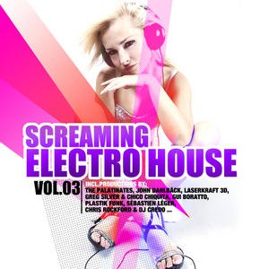 Screaming Electro House Vol. 3