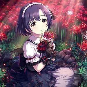 白菊ほたる (天野聡美) 的头像