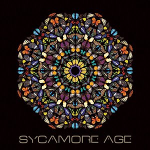 Sycamore Age