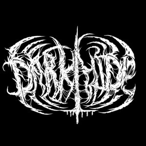 Dark Hide 的头像
