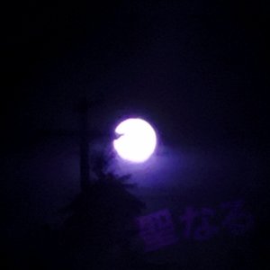 聖​な​る​ep