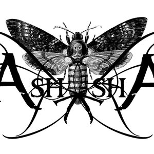 Ash shA 的头像