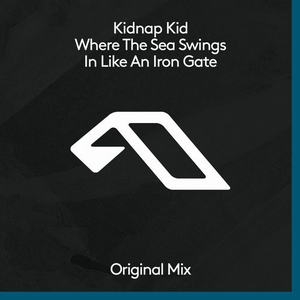 Kidnap Kid - Where the Sea Swings In Like an Iron Gate - Zortam Music