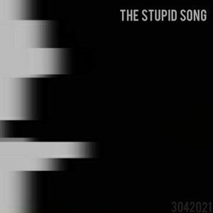 The Stupid Song - Single