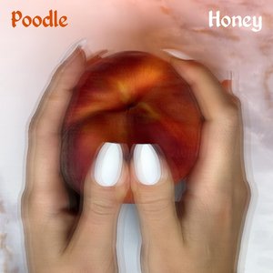 Honey - Single