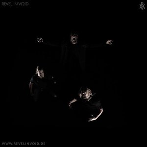 Image for 'Revel In Void'