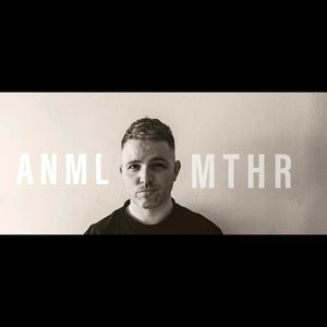 Anml Mthr 的头像