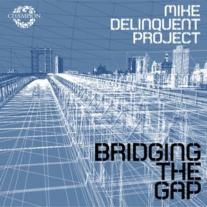 Bridging the Gap