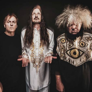 The Melvins 