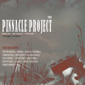 The Pinnacle Project: Bricks Without Straw, Vol. 1