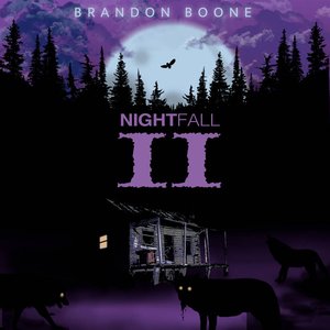 Night Fall II