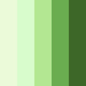 evergreen