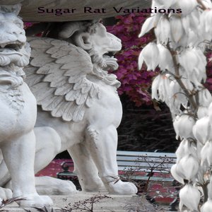 Image for 'Sugar Rat Variations'