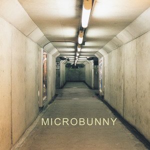 Microbunny