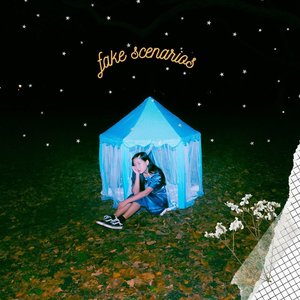 fake scenarios