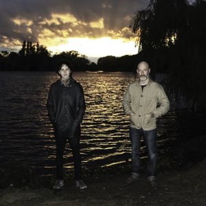 Brown Fang 的头像