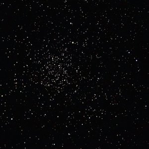 Rythm of the Night