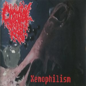 Xenophilism