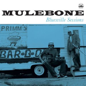 Bluesville Sessions