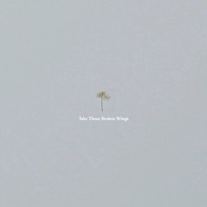 Take These Broken Wings - Single