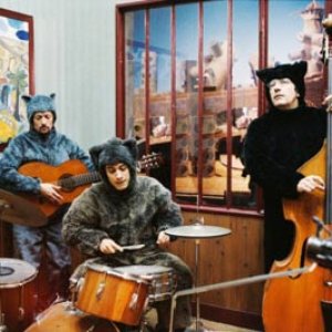 Chanson Des Chats 的头像