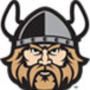 Avatar for VI-King.