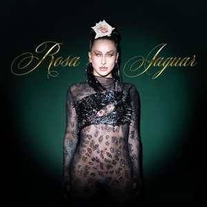 Rosa Jaguar - Single