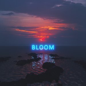 Image for 'Bloom'