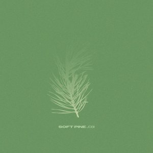 Soft Pine