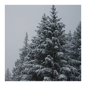 Snow Day!
