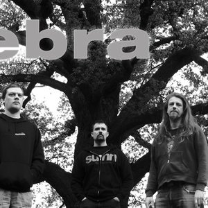 Nebra 的头像