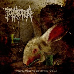 TORN THE FUCK OPEN, Vol. 1