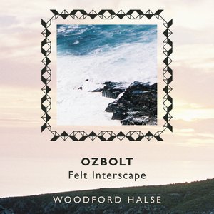 Felt Interscape