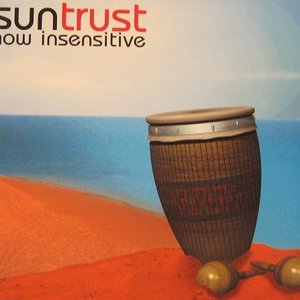 “Suntrust”的封面