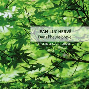 Dans l'heure brève de Jean-Luc Hervé