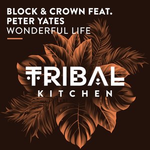 Wonderful Life