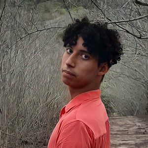 Manu Paródias 的头像