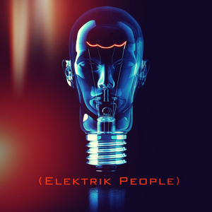 Elektrik People - Make Me a Bird Lyrics - Zortam Music