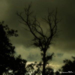 They're Harvesting our Organs LP