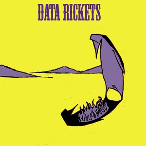 data rickets 的头像