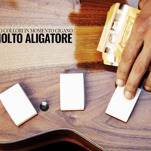 Molto Aligatore
