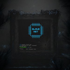 Avatar for SlaveNet
